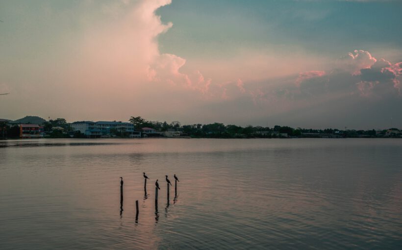 Flores Guatemala